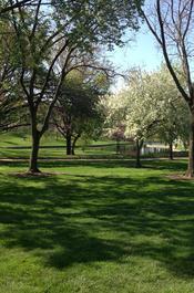Landscape Services